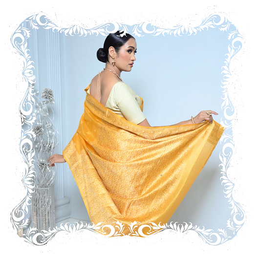 Woman wearing a Varshelea Kosa Silk saree